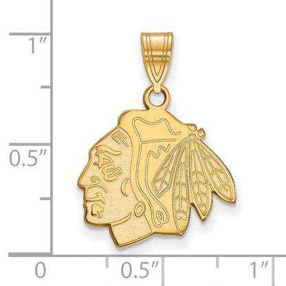 Vergoldet Sterlingsilber Nhl Logoart Chicago Blackhawks Mittel Anhänger