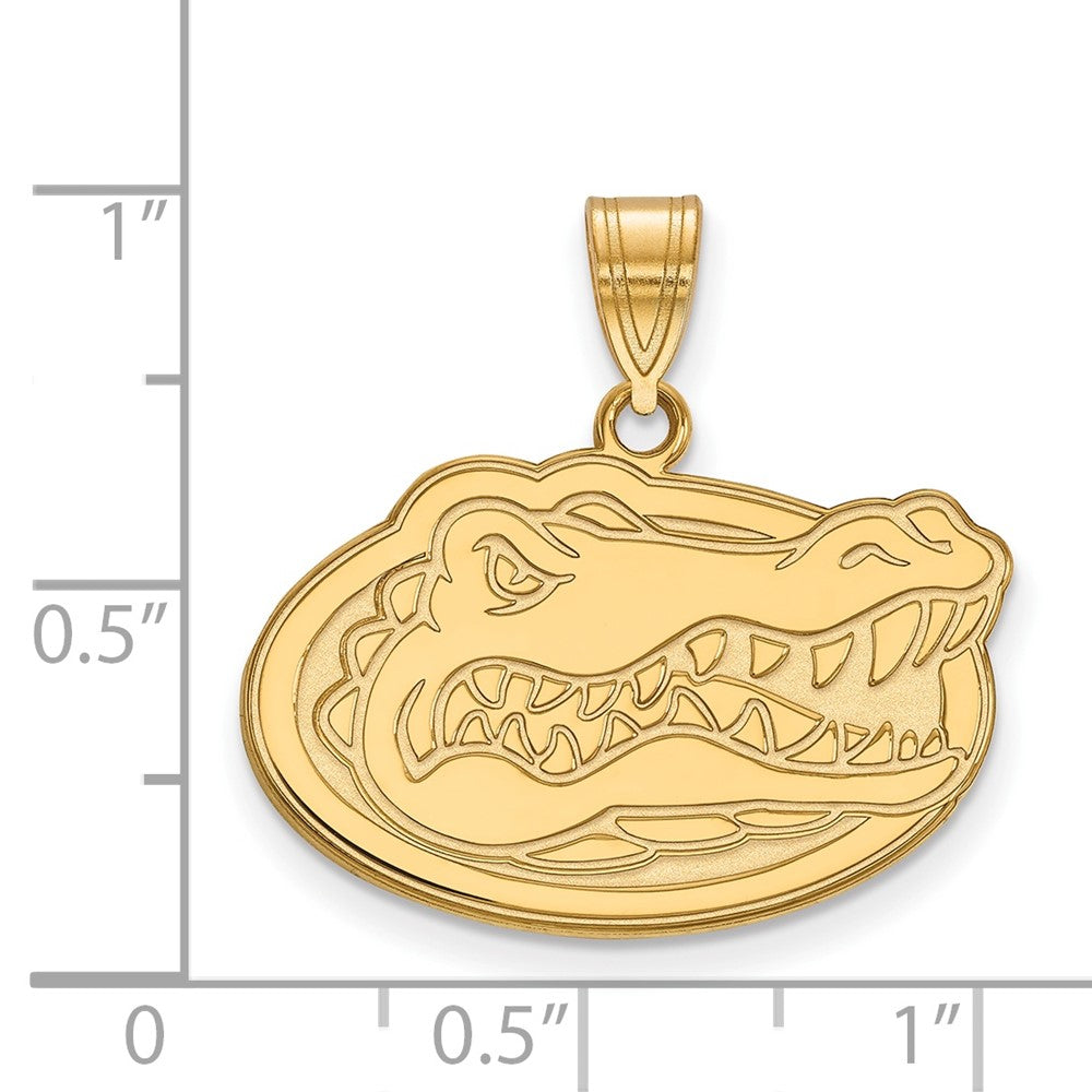 10K Gelbgold Logoart University Of Florida Gator Mittel Anhänger