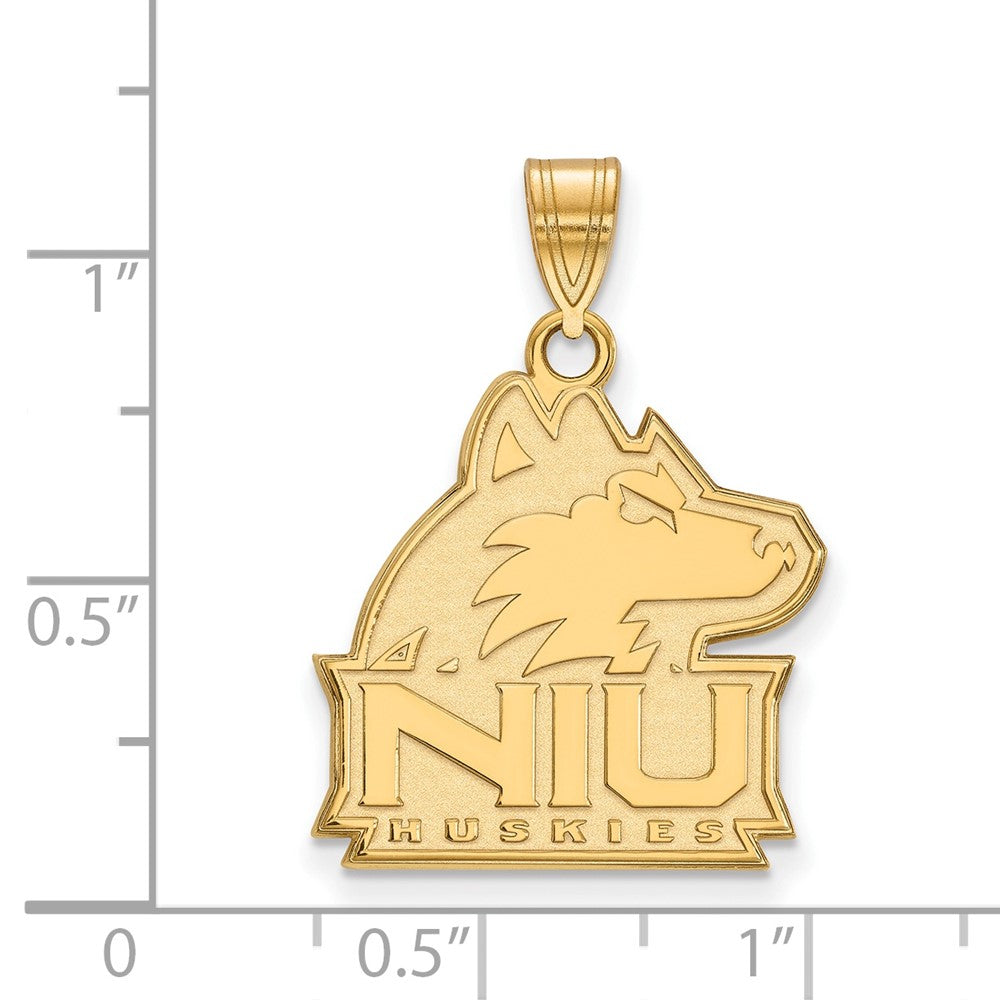 10K Gelbgold Logoart Northern Illinois University N I U Huskies Groß Anhänger