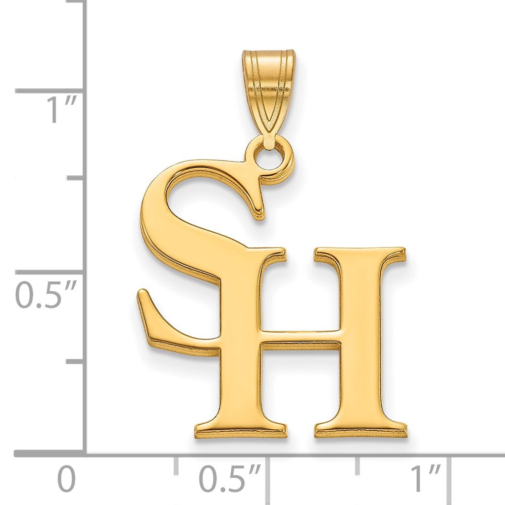 10K Gelbgold Logoart Sam Houston State University Groß Anhänger