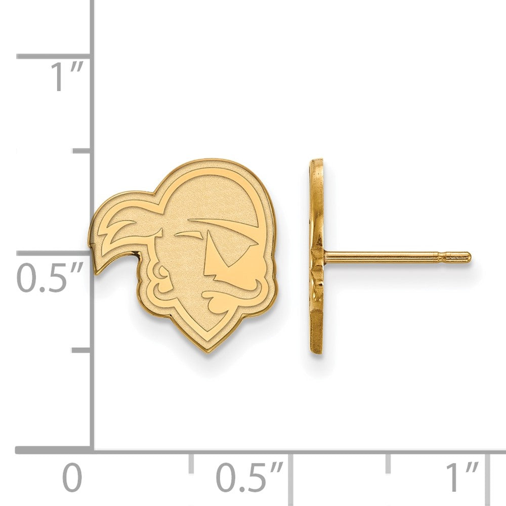 10K Gelbgold Logoart Seton Hall University Pirat Klein Ohrstecker