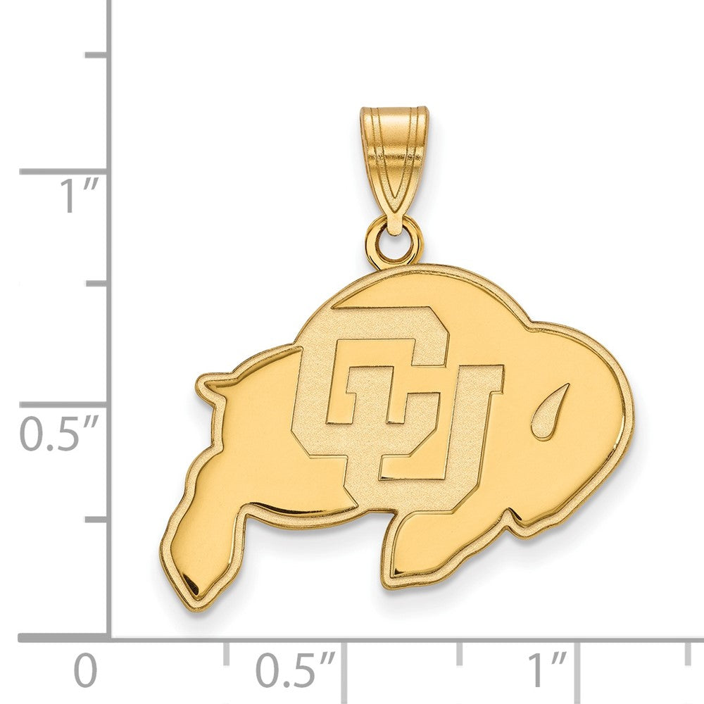 10K Gelbgold Logoart University Of Colorado Buffalo Groß Anhänger