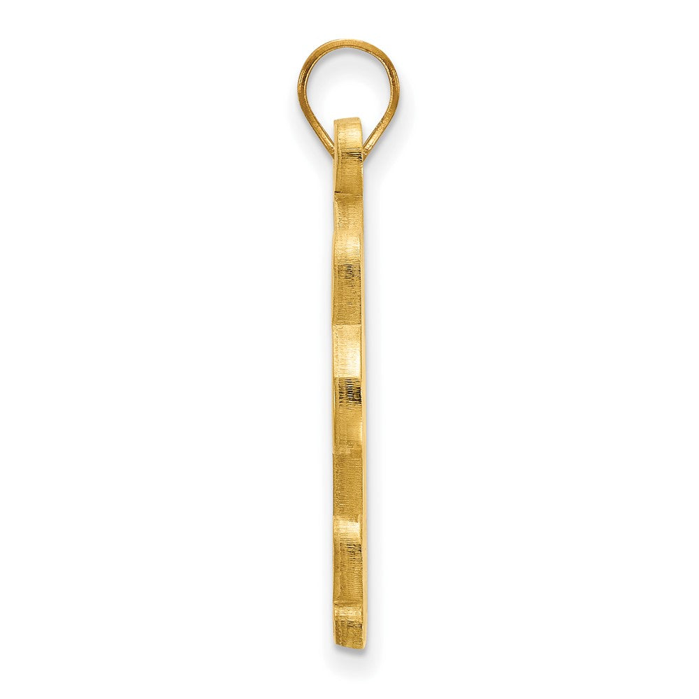 10K Gelbgold Logoart University Of Pittsburgh Extra Groß Anhänger