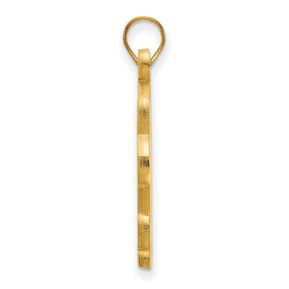 10K Gelbgold Logoart University Of Pittsburgh Extra Groß Anhänger