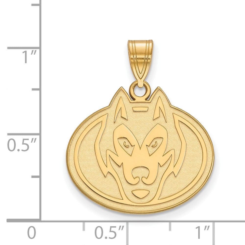 10K Gelbgold Logoart St. Cloud State University Husky Groß Anhänger
