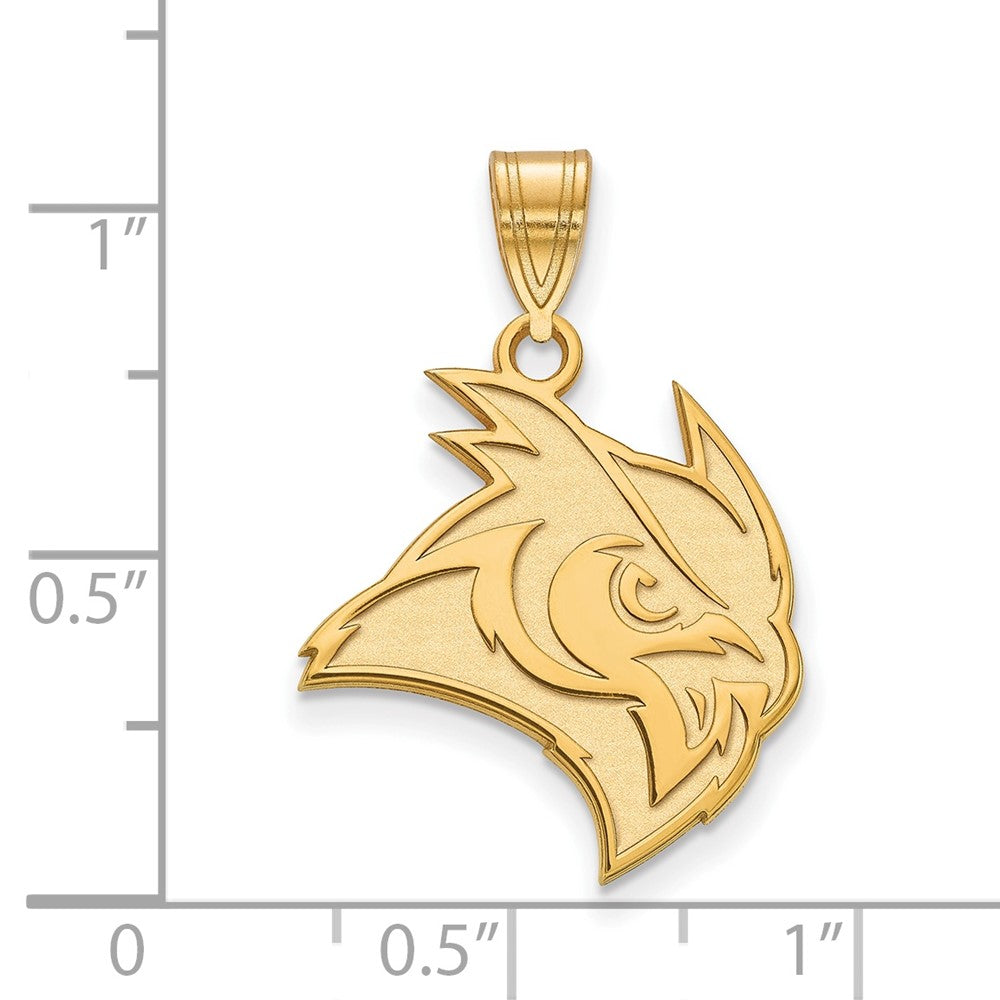 10K Gelbgold Logoart Rice University Eule Groß Anhänger
