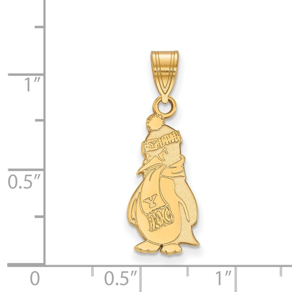 10K Gelbgold Logoart Youngstown State University Pinguin Groß Anhänger