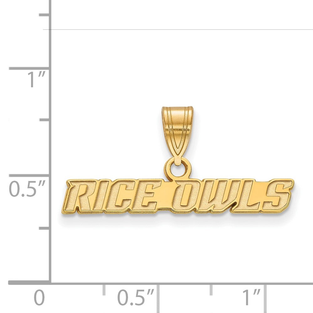 Vergoldet Sterlingsilber Logoart Rice University Owls Mittel Anhänger