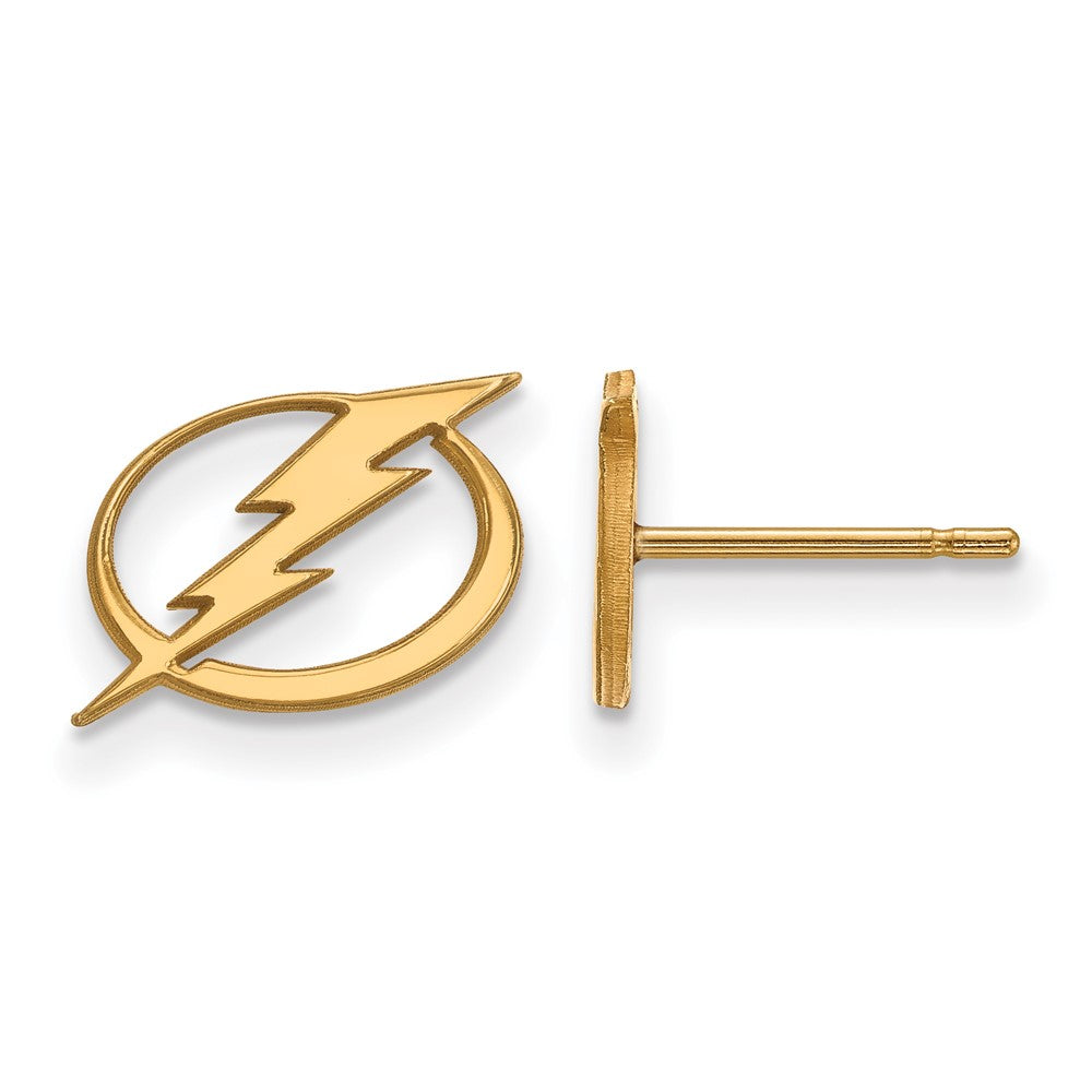 10K Gelbgold Nhl Logoart Tampa Bay Blitz Extra Klein Ohrstecker