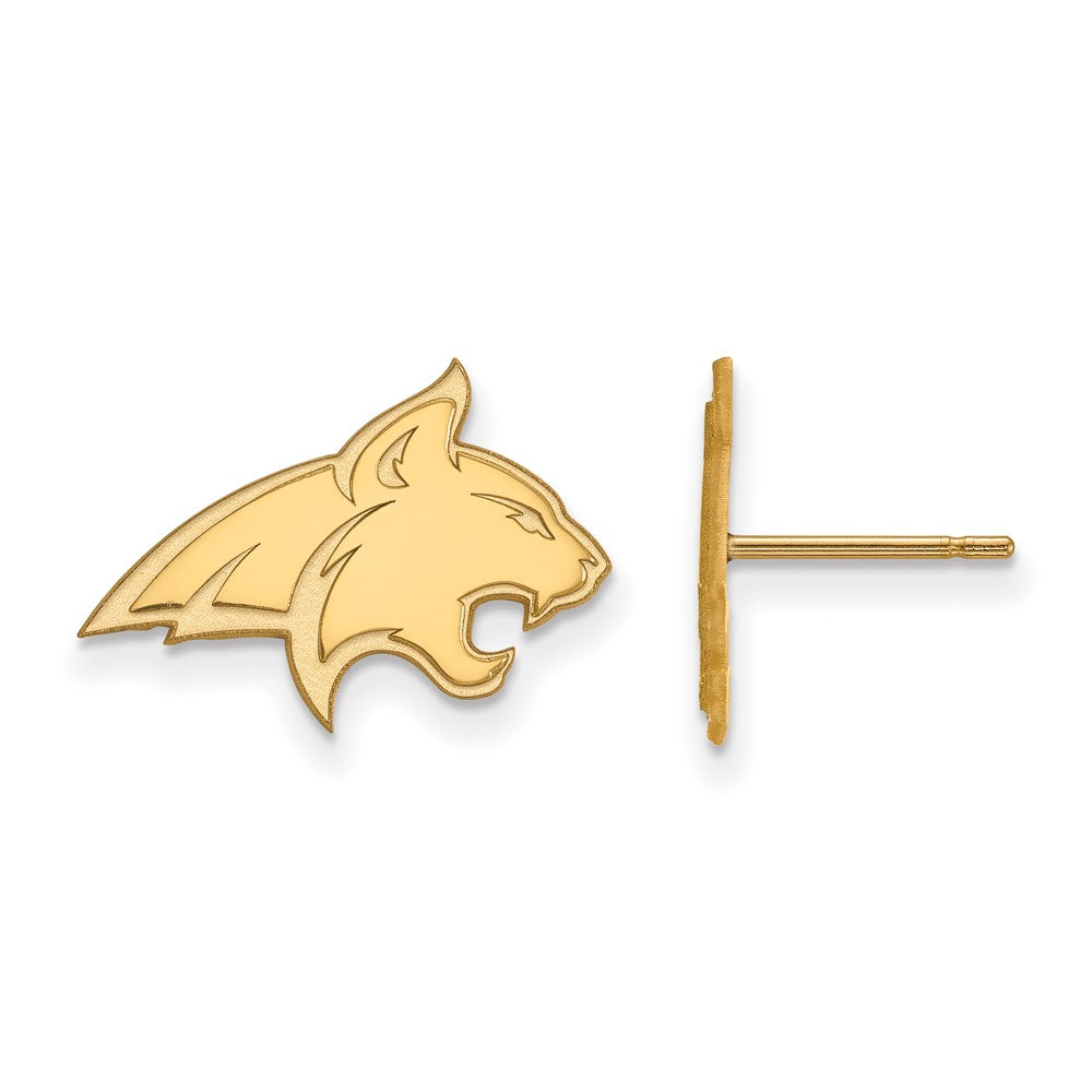 10K Gelbgold Logoart Montana State University Bobcat Klein Ohrstecker