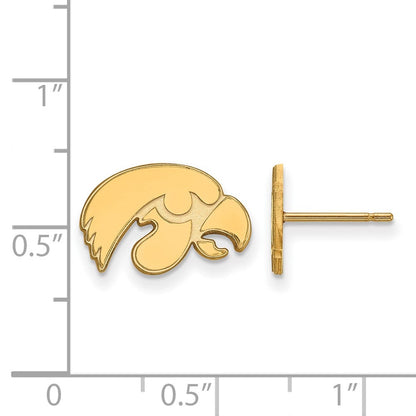 10K Gelbgold Logoart University Of Iowa Hawk Extra Klein Ohrstecker