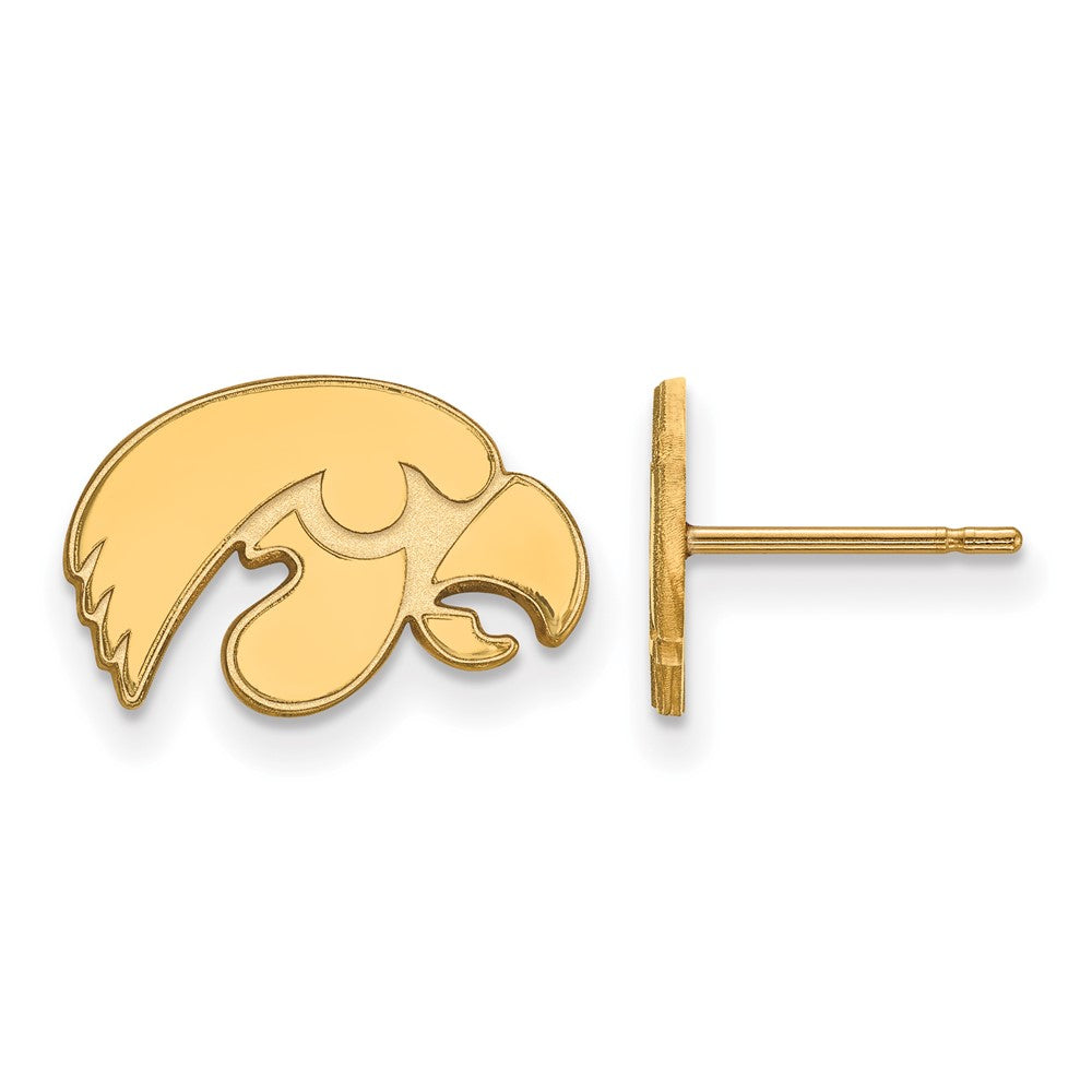 10K Gelbgold Logoart University Of Iowa Hawk Extra Klein Ohrstecker
