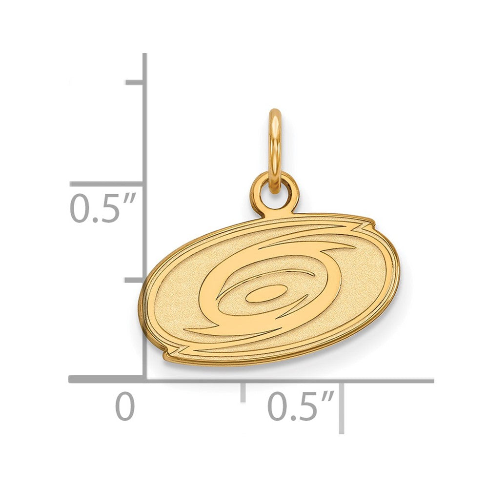 10K Gelbgold Nhl Logoart Carolina Hurricanes Extra Klein Anhänger