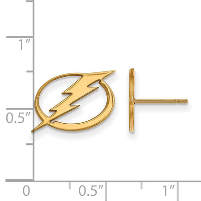 10K Gelbgold Nhl Logoart Tampa Bay Blitz Klein Ohrstecker