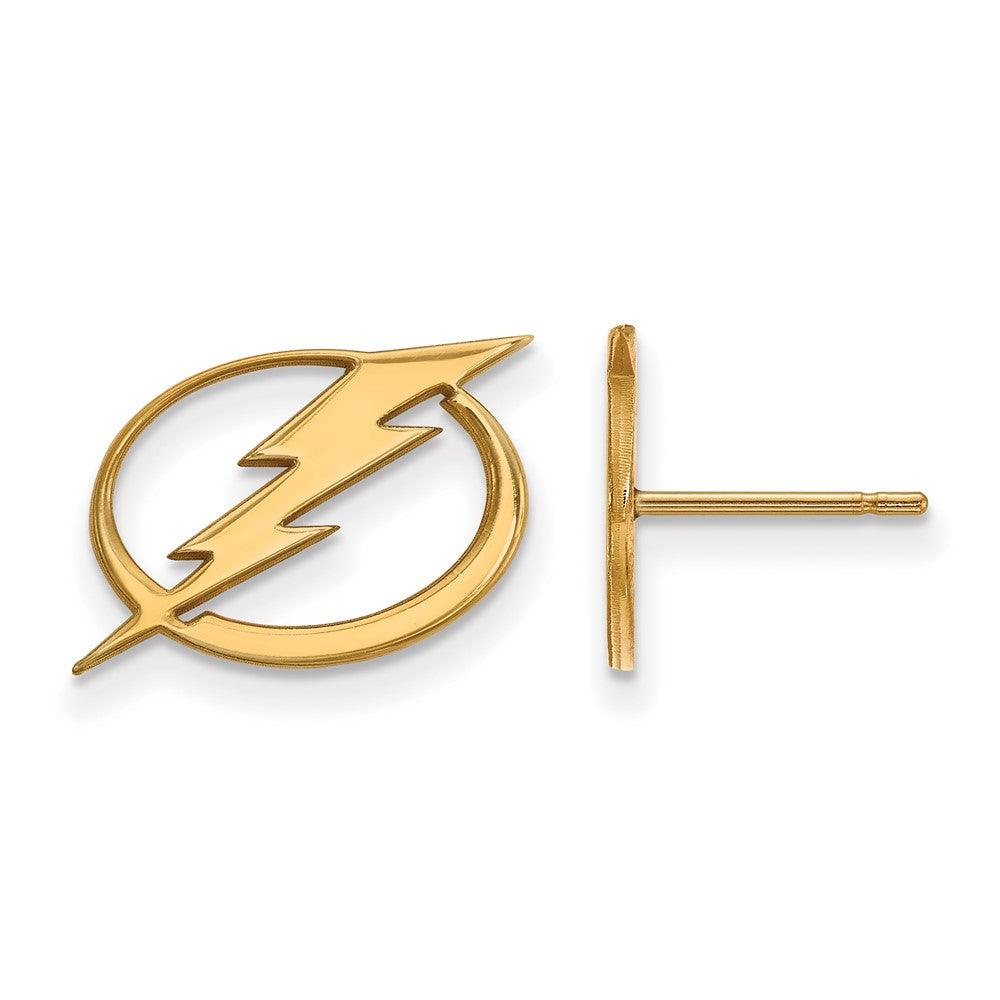 10K Gelbgold Nhl Logoart Tampa Bay Blitz Klein Ohrstecker