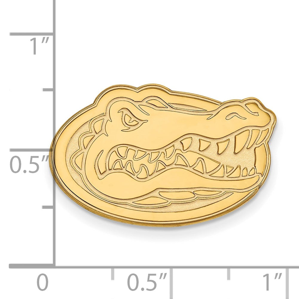 14K Gelbgold Gold Logoart University Of Florida Gator Anstecknadel