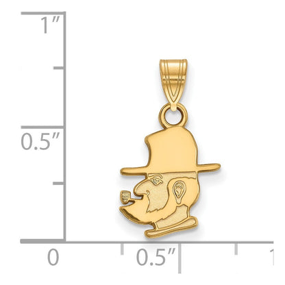 10K Gelbgold Logoart Appalachian State University Mountaineer Klein Anhänger