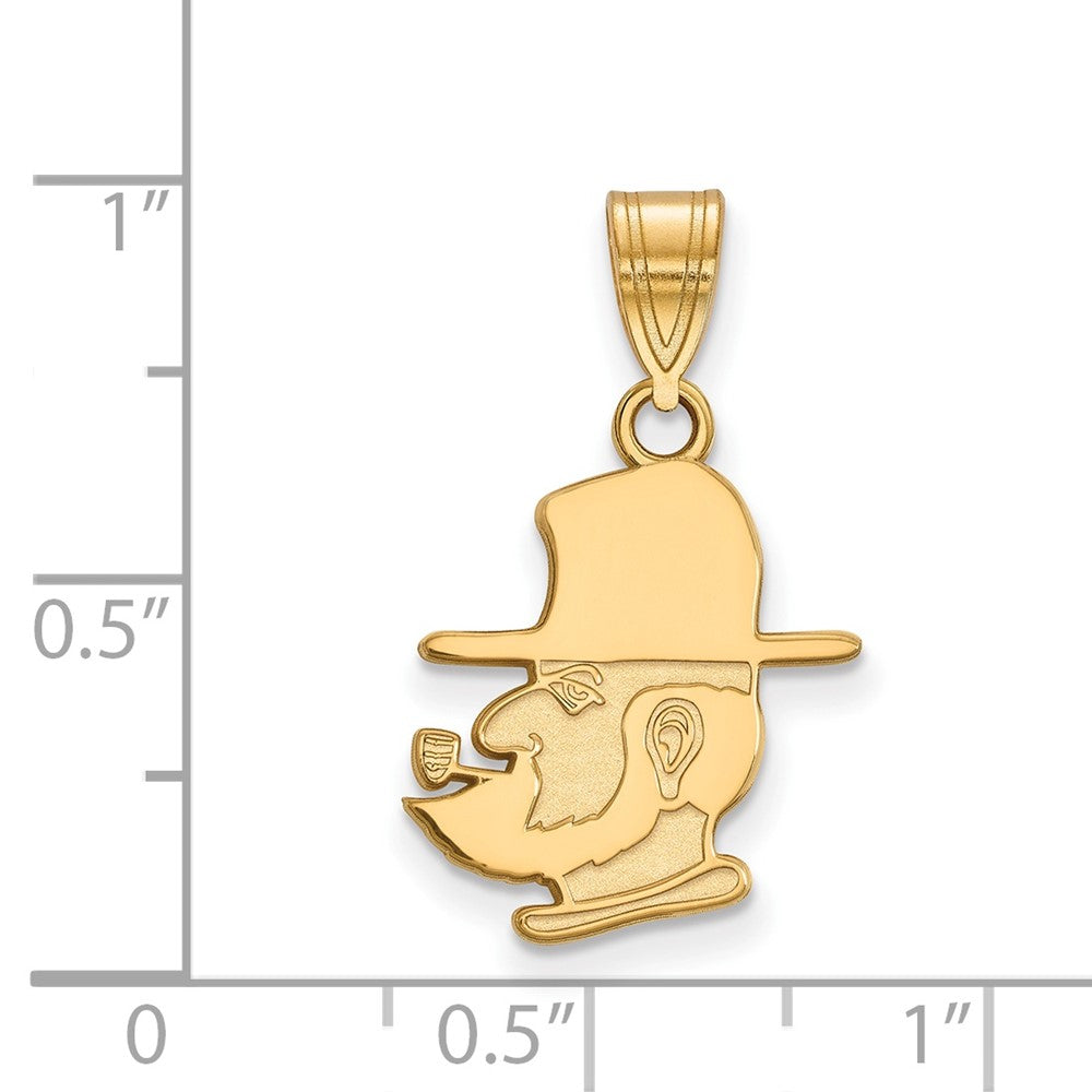 10K Gelbgold Logoart Appalachian State University Mountaineer Mittel Anhänger