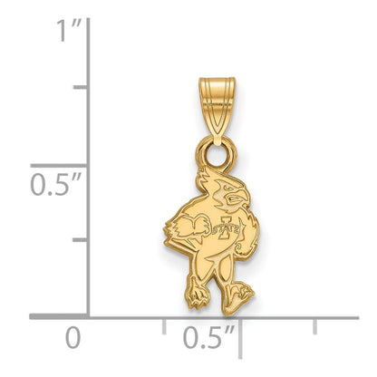 10K Gelbgold Logoart Iowa State University Cardinal Klein Anhänger