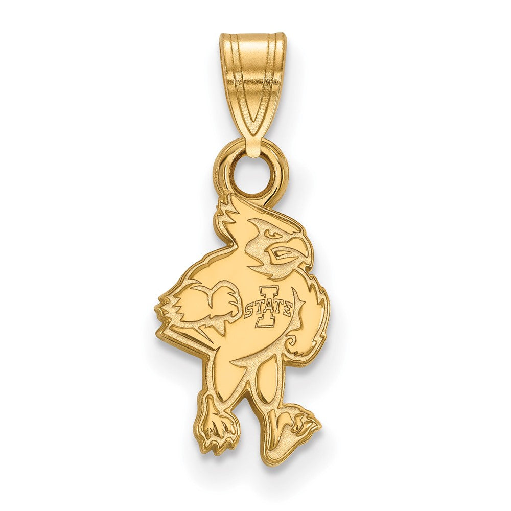 10K Gelbgold Logoart Iowa State University Cardinal Klein Anhänger