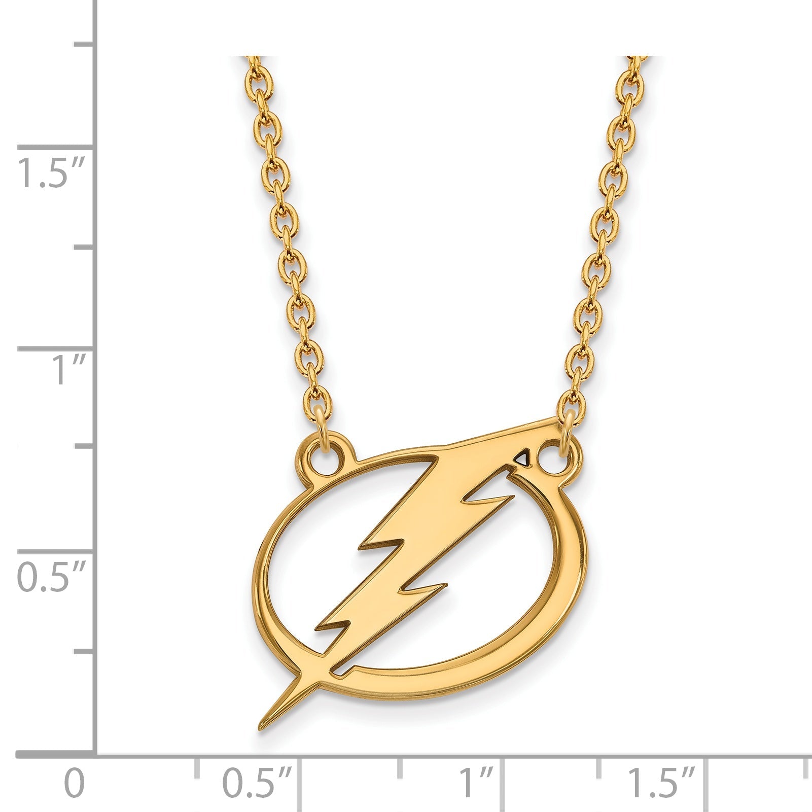 Vergoldet Sterlingsilber Nhl Logoart Tampa Bay Blitz Groß Anhänger 18 Zoll Halskette