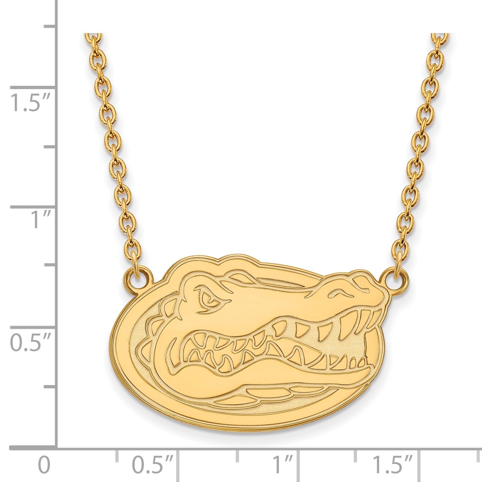 Vergoldet Sterlingsilber Logoart University Of Florida Gator Groß Anhänger 18 Zoll Halskette