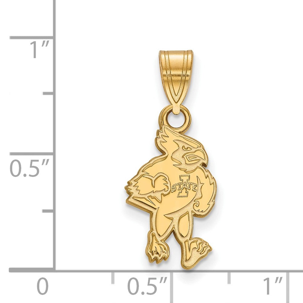 10K Gelbgold Logoart Iowa State University Cardinal Mittel Anhänger