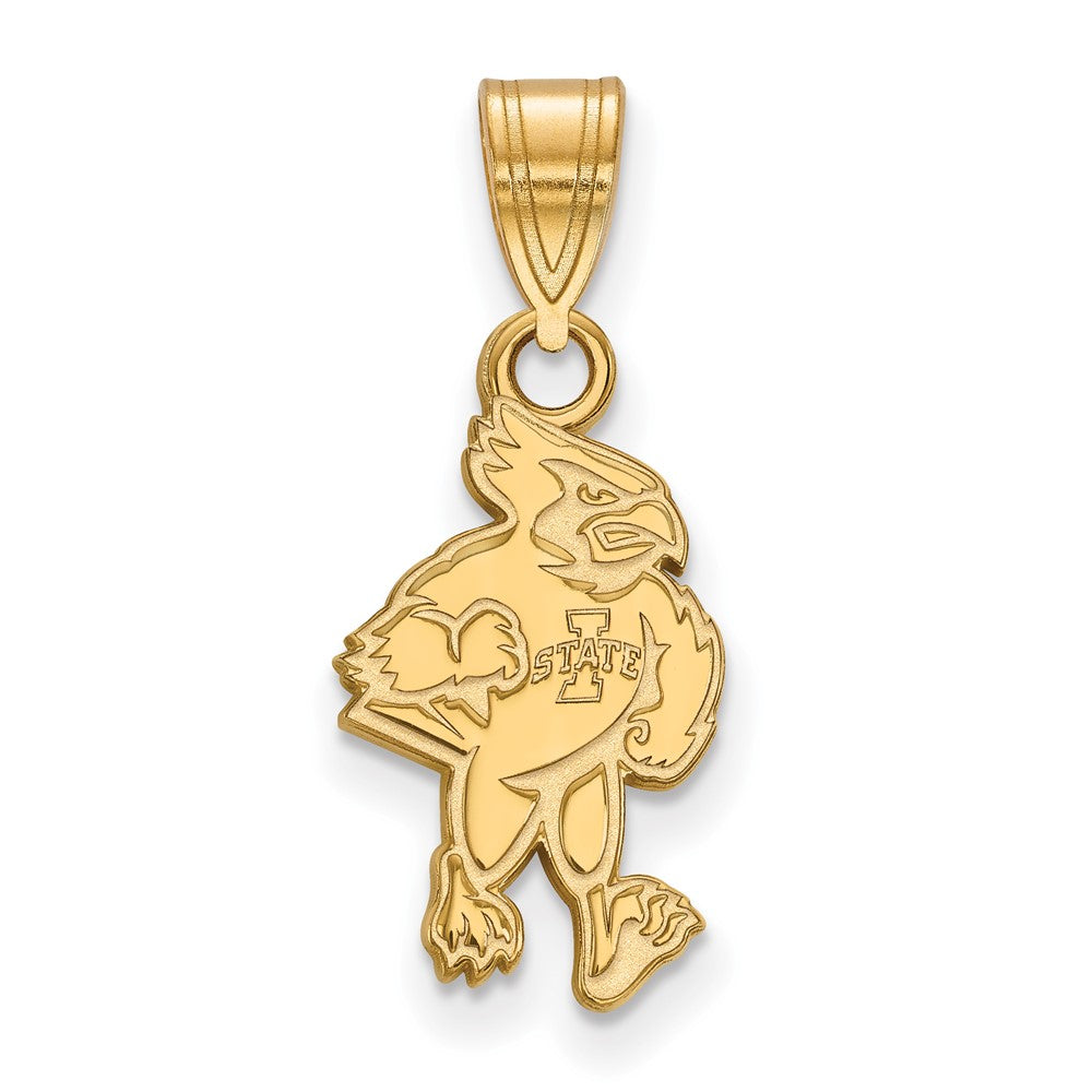 14K Gelbgold Logoart Iowa State University Cardinal Mittel Anhänger