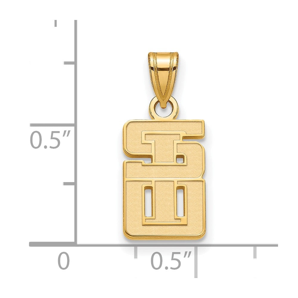 10K Gelbgold 10ky Logoart Southern Illinois University Klein Anhänger