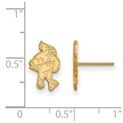 10K Gelbgold Logoart Iowa State University Cardinal Klein Ohrstecker