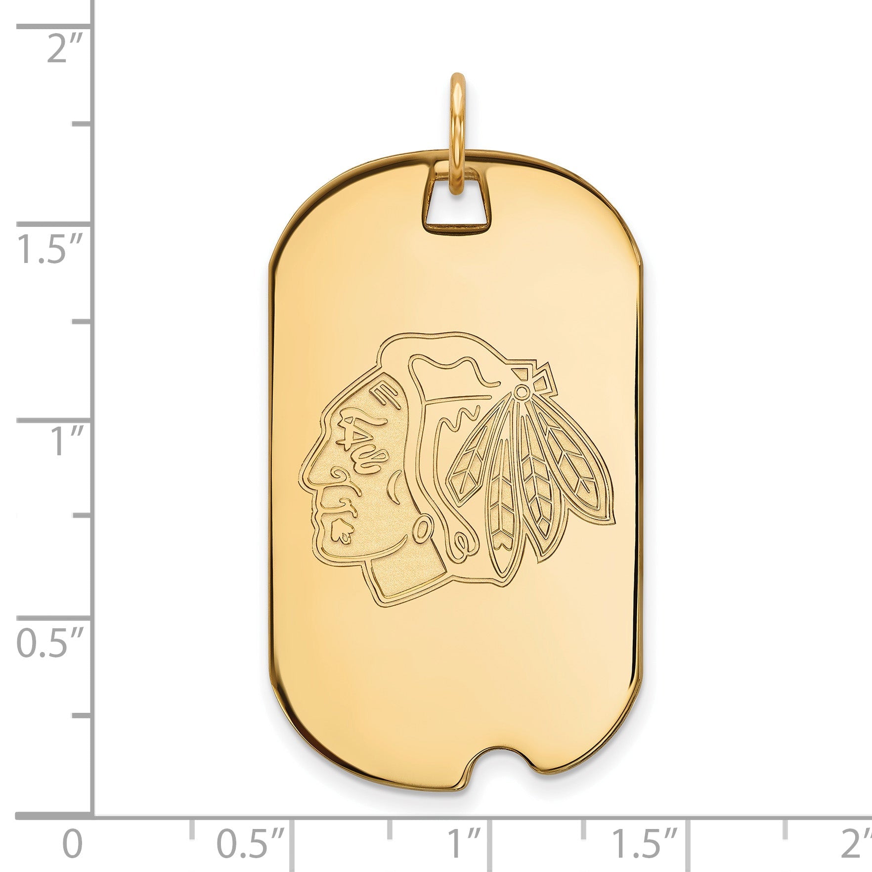 Vergoldet Sterlingsilber Nhl Logoart Chicago Blackhawks Groß Erkennungsmarke Anhänger