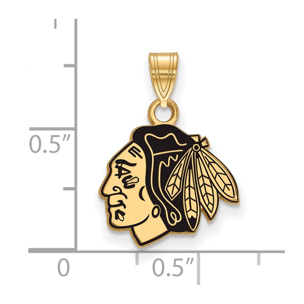 Vergoldet Sterlingsilber Nhl Logoart Chicago Blackhawks Klein Emailliert Anhänger