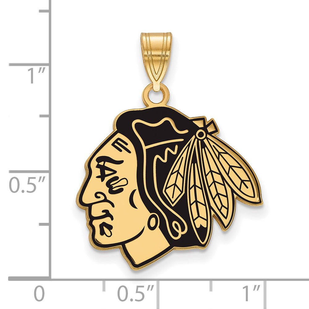 Vergoldet Sterlingsilber Nhl Logoart Chicago Blackhawks Groß Emailliert Anhänger