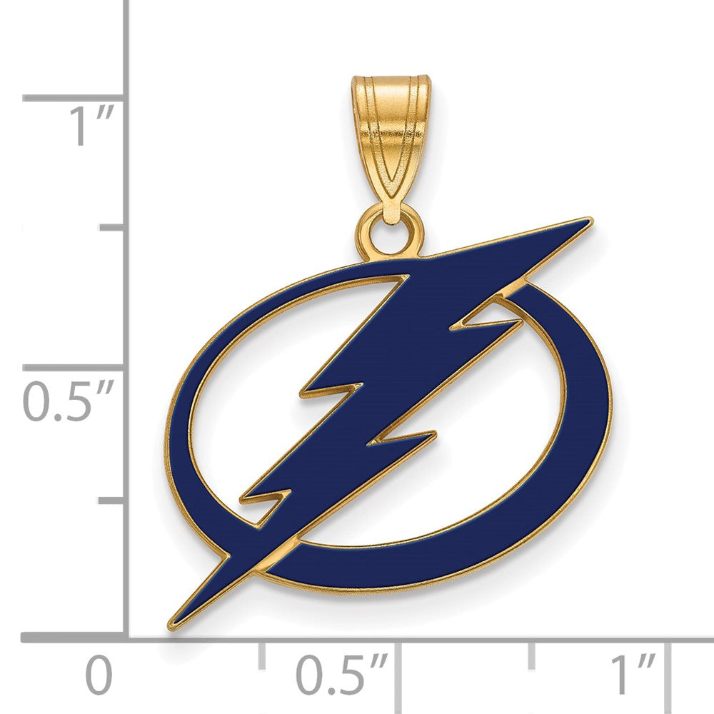 Vergoldet Sterlingsilber Nhl Logoart Tampa Bay Blitz Groß Emailliert Anhänger