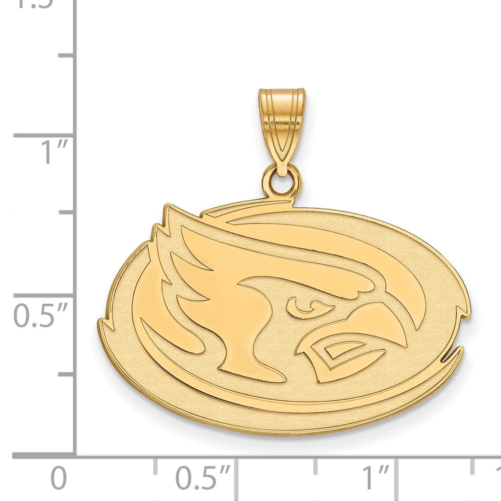 10K Gelbgold Logoart Iowa State University Cardinal Groß Anhänger
