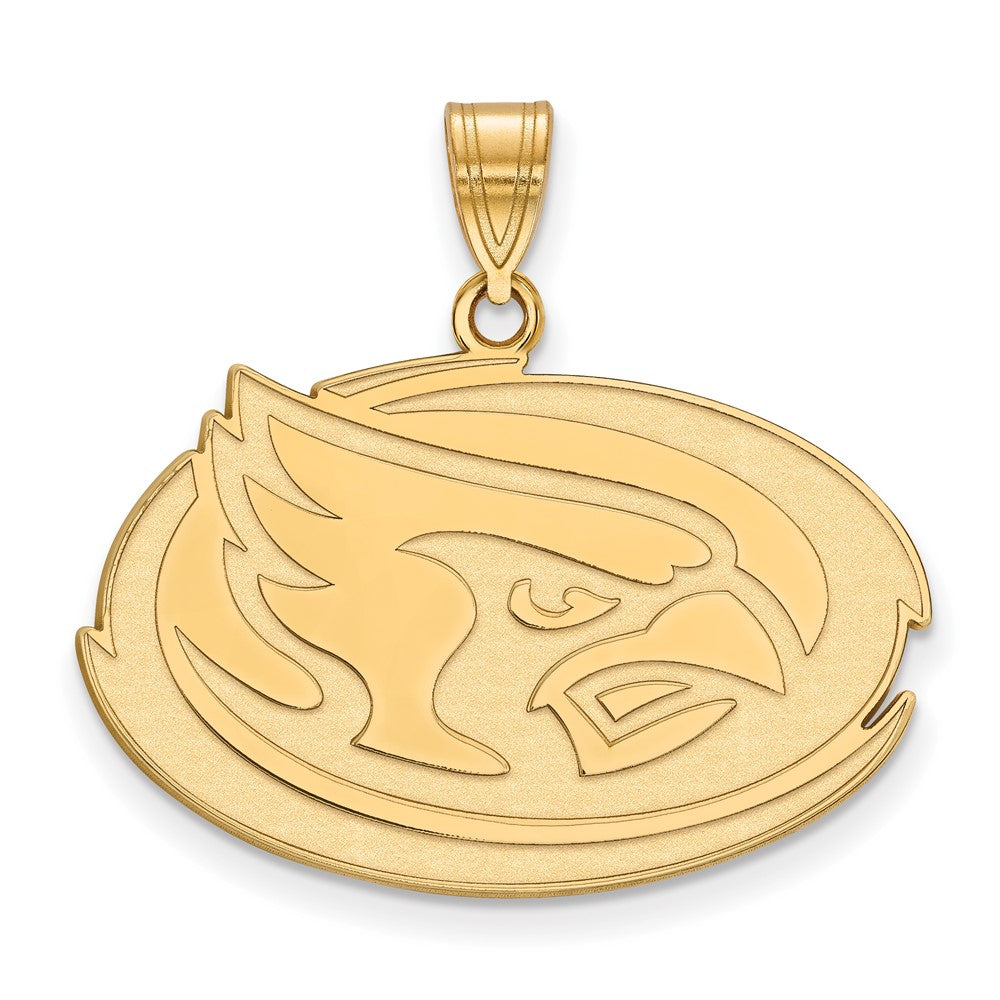 10K Gelbgold Logoart Iowa State University Cardinal Groß Anhänger