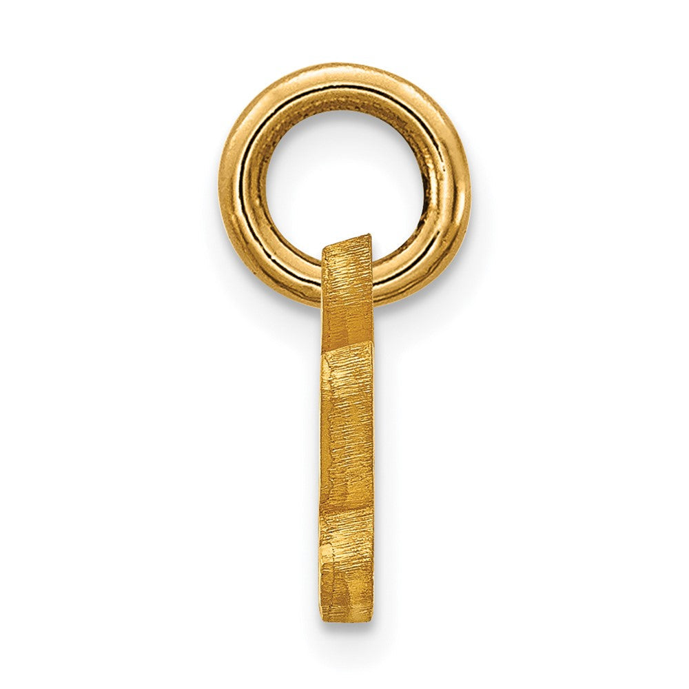 14K Gelbgold Logoart Baylor University Extra Klein Anhänger