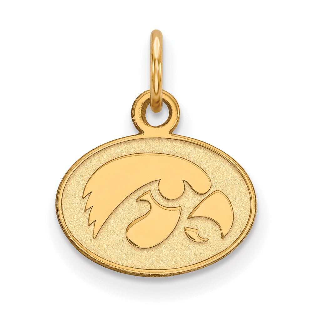 Vergoldet Sterlingsilber Logoart University Of Iowa Hawk Extra Klein Oval Anhänger