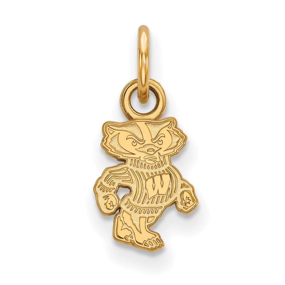 10K Gelbgold Logoart University Of Wisconsin Badger Extra Klein Anhänger