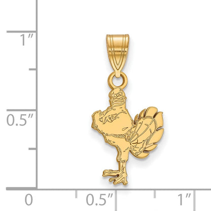 10K Gelbgold Logoart Virginia Tech Hokiebird Mittel Anhänger
