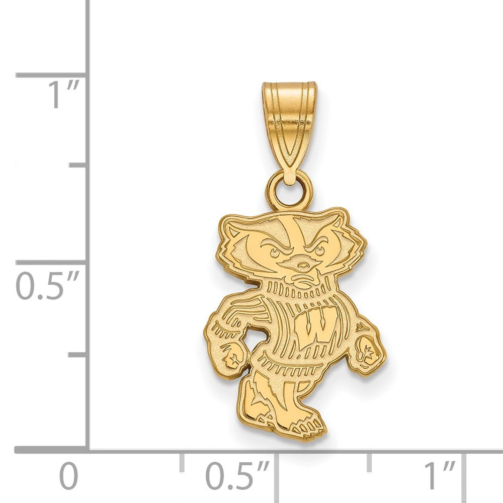 Vergoldet Sterlingsilber Logoart University Of Wisconsin Badger Mittel Anhänger