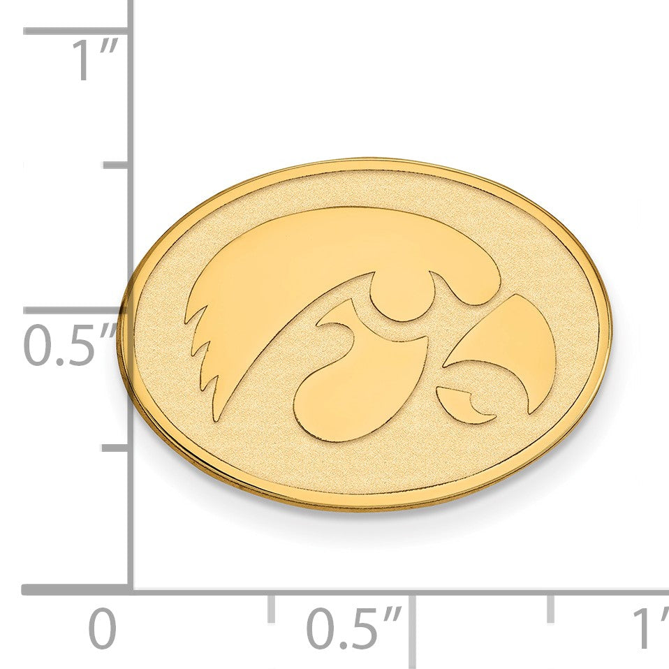14K Gelbgold Gold Logoart University Of Iowa Hawk Oval Anstecknadel