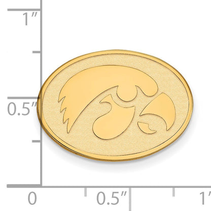 14K Gelbgold Gold Logoart University Of Iowa Hawk Oval Anstecknadel