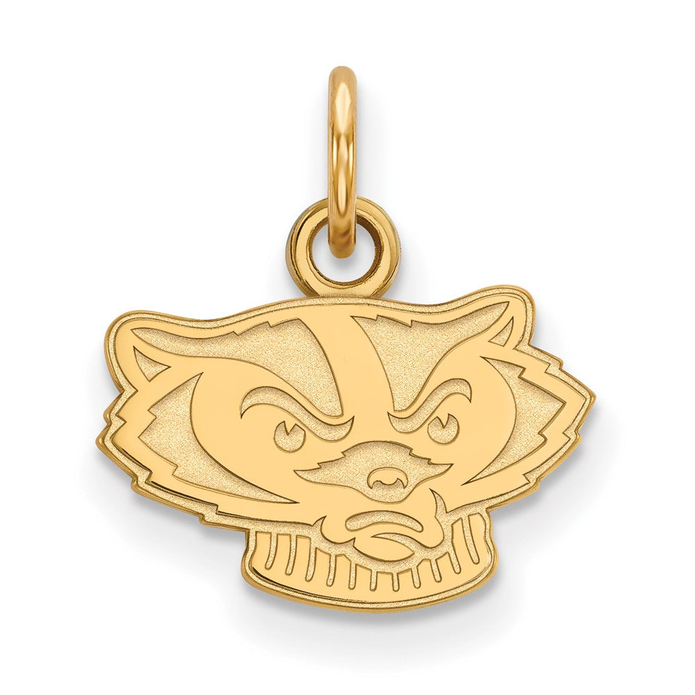 10K Gelbgold Logoart University Of Wisconsin Badger Extra Klein Anhänger