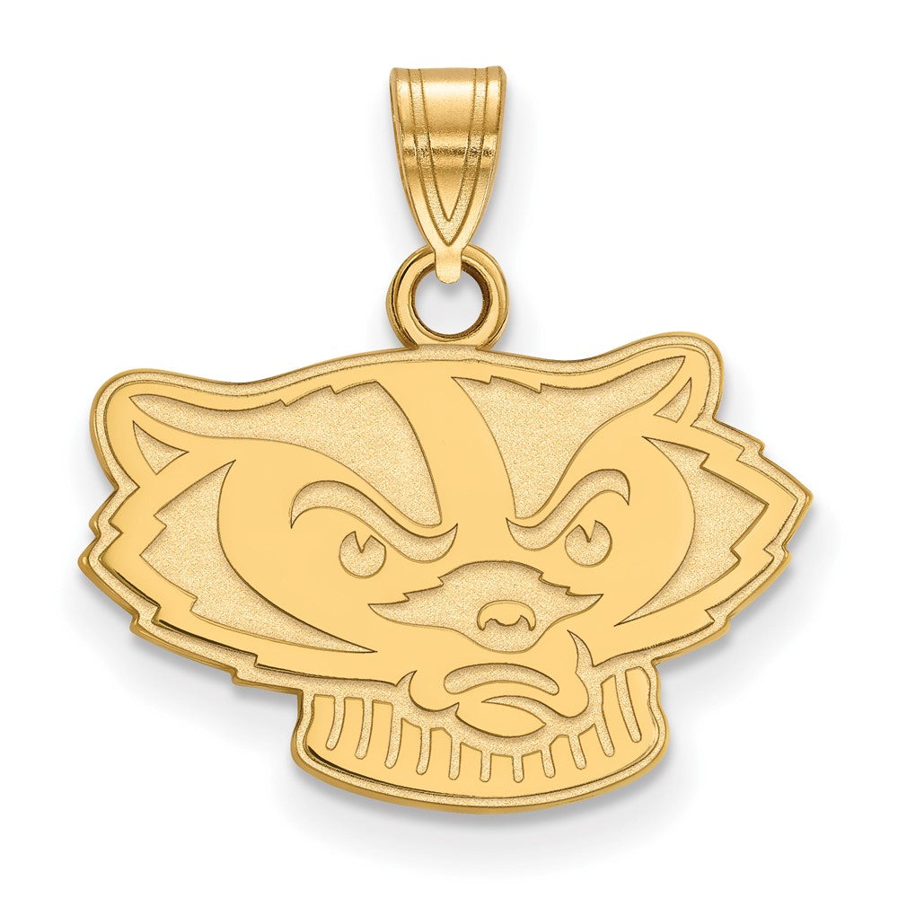 10K Gelbgold Logoart University Of Wisconsin Badger Klein Anhänger
