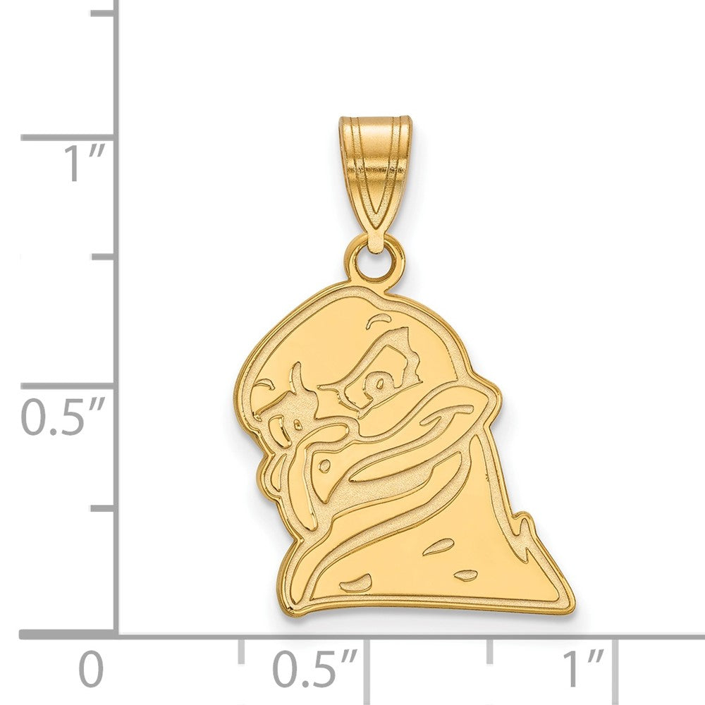 10K Gelbgold Logoart Virginia Tech Hokiebird Groß Anhänger