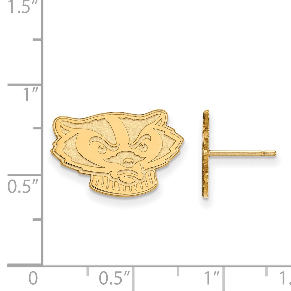 Vergoldet Sterlingsilber Logoart University Of Wisconsin Badger Klein Ohrstecker