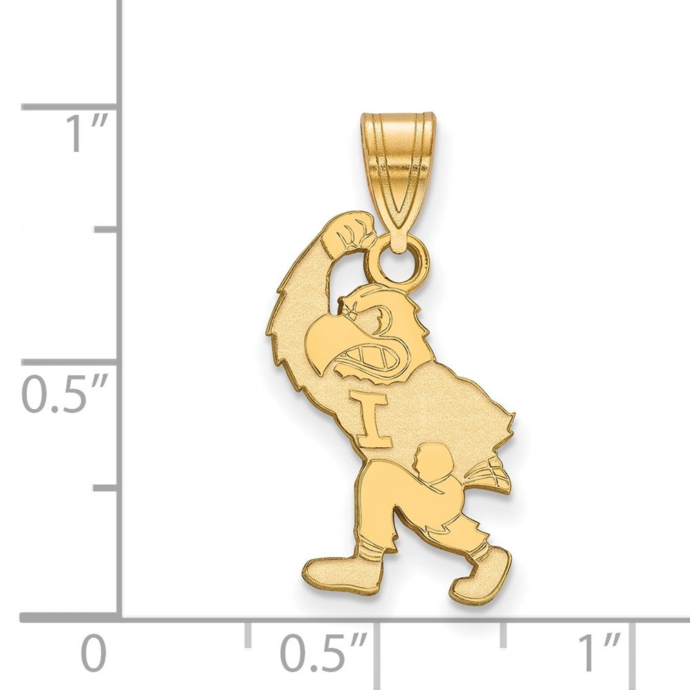 Vergoldet Sterlingsilber Logoart University Of Iowa Hawk Mascot Groß Anhänger