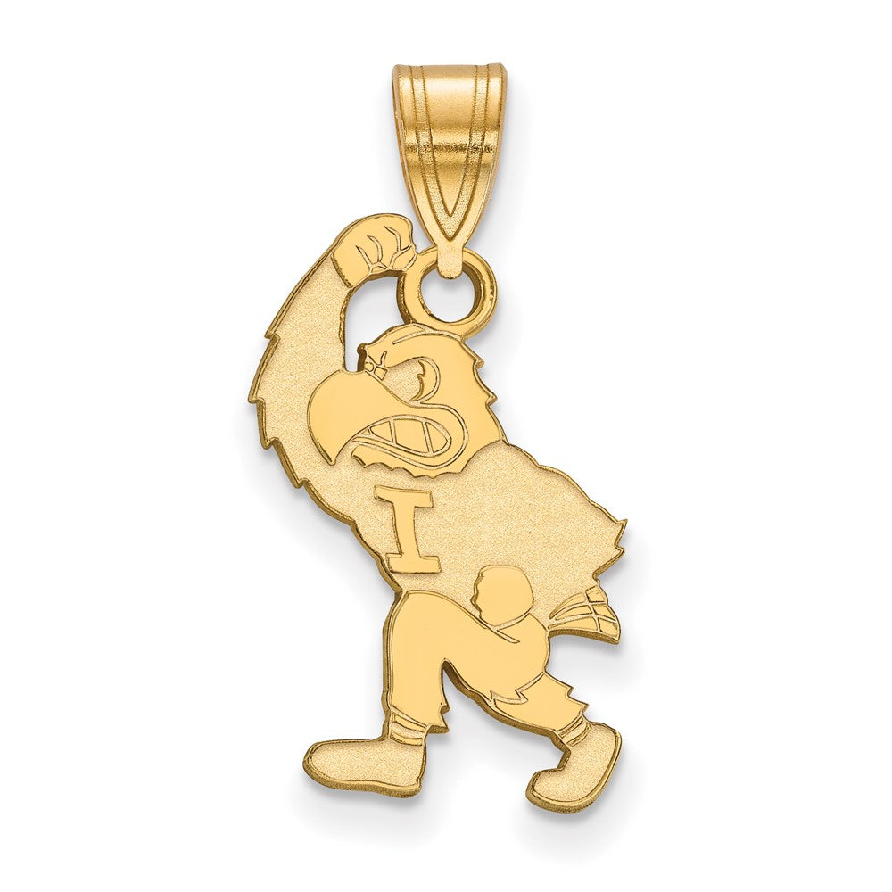 Vergoldet Sterlingsilber Logoart University Of Iowa Hawk Mascot Groß Anhänger