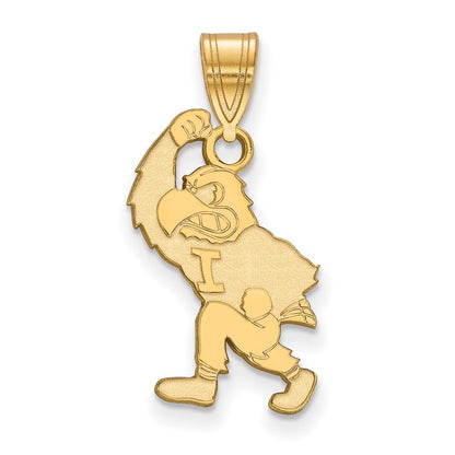 Vergoldet Sterlingsilber Logoart University Of Iowa Hawk Mascot Groß Anhänger